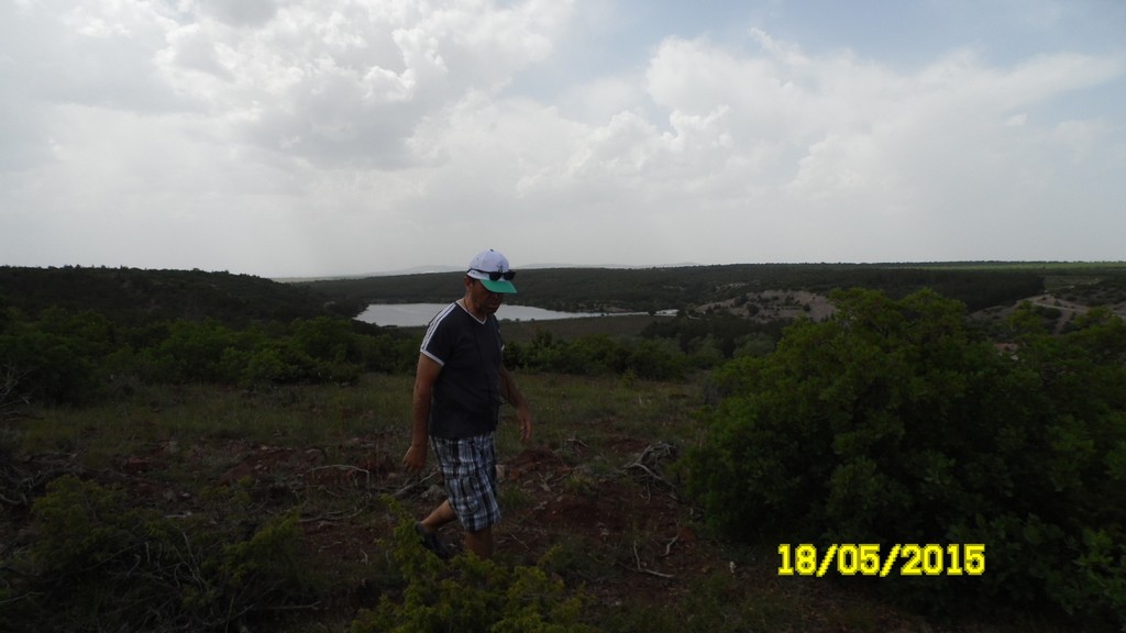 SAM_4842_1.JPG