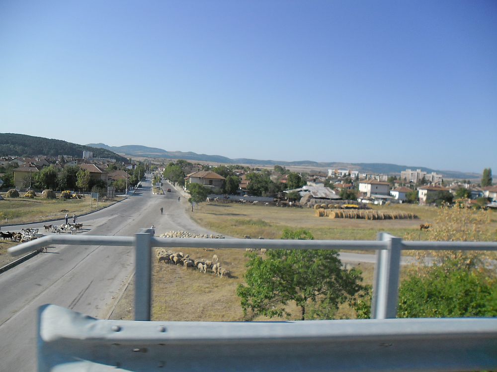 SAM_6367.jpg