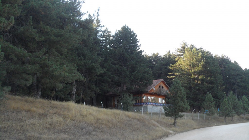 SAM_8073.JPG
