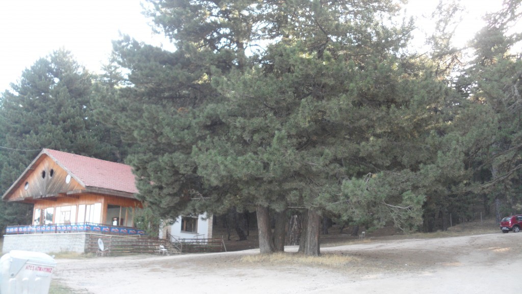 SAM_8090.JPG