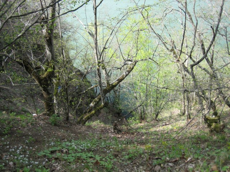samsun-28042010 140.jpg
