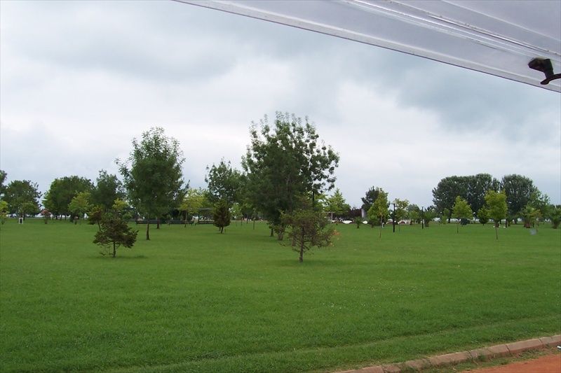 Samsun-DoÃƒÂƒÃ‚Â„ÃƒÂ‚Ã‚ÂŸupark.jpg