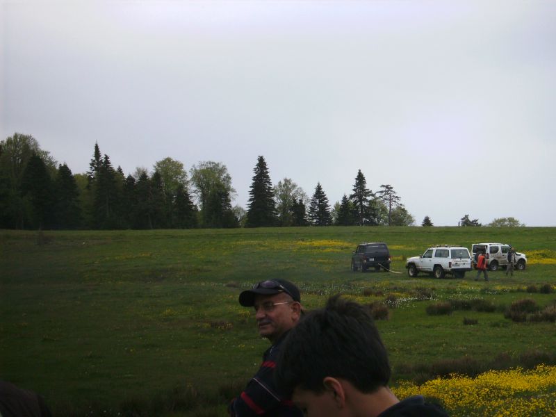 SANY0009.jpg