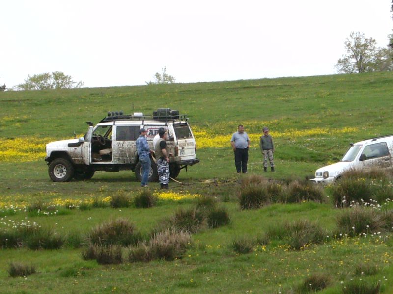 SANY0013.jpg