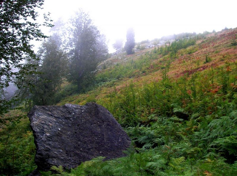 SANY0014.jpg
