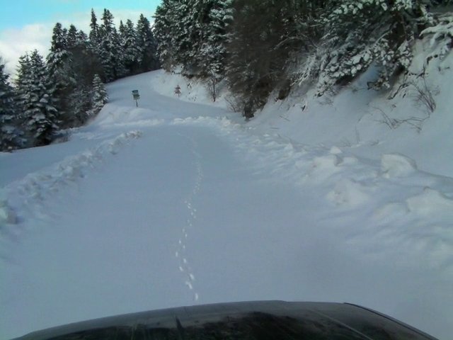 SANY0022_1.JPG