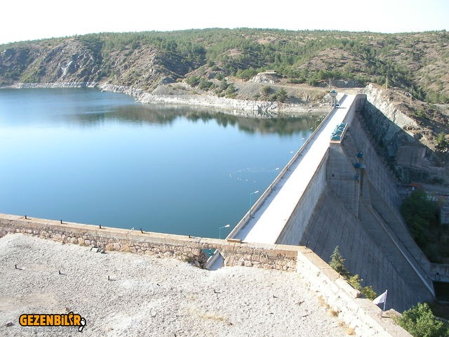 SANY0046.jpg