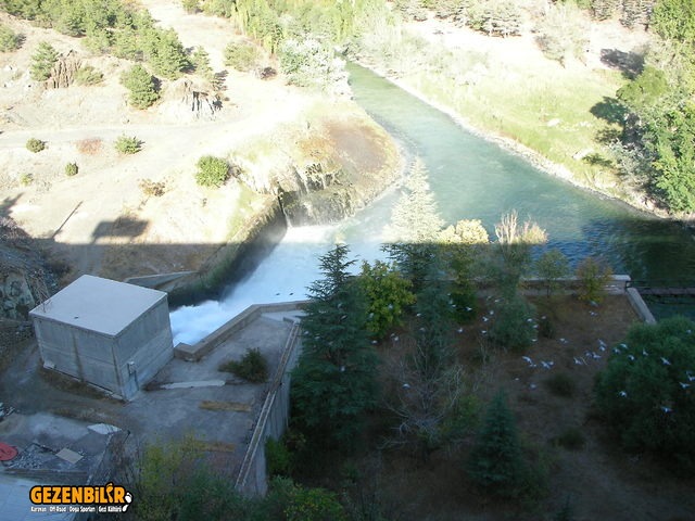 SANY0055.jpg