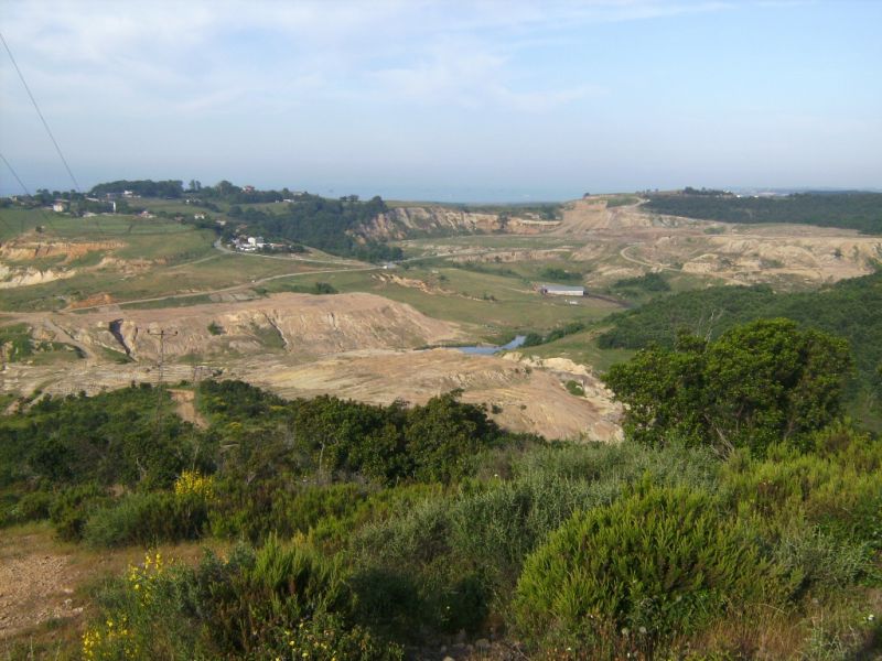 SANY0057.jpg