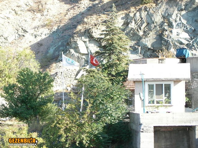 SANY0067.jpg