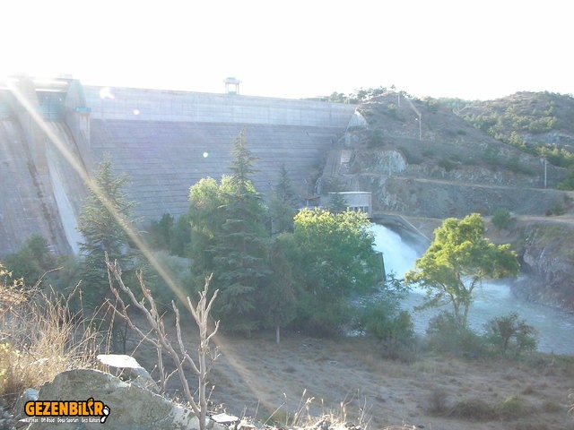 SANY0068.jpg