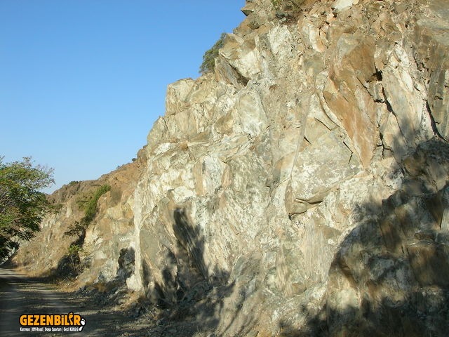 SANY0072.jpg