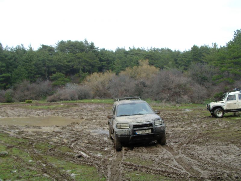 SANY0081.jpg