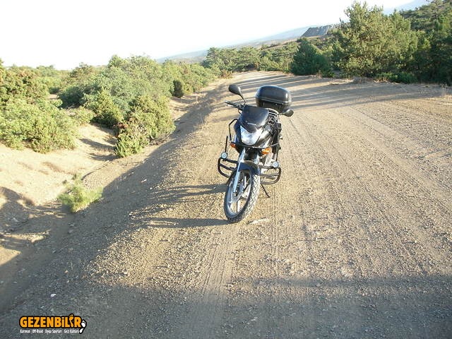 SANY0084.jpg