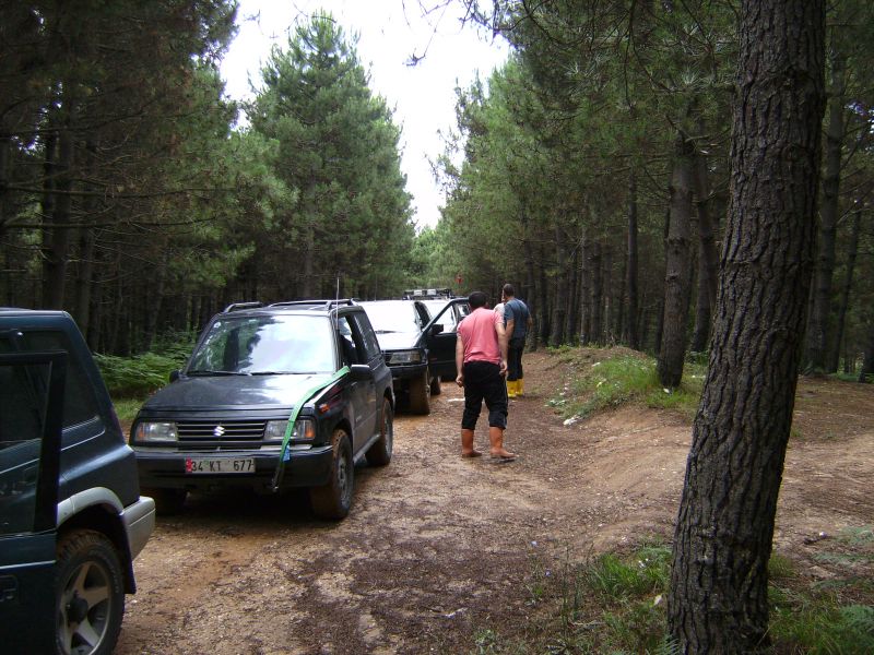 SANY0212.jpg