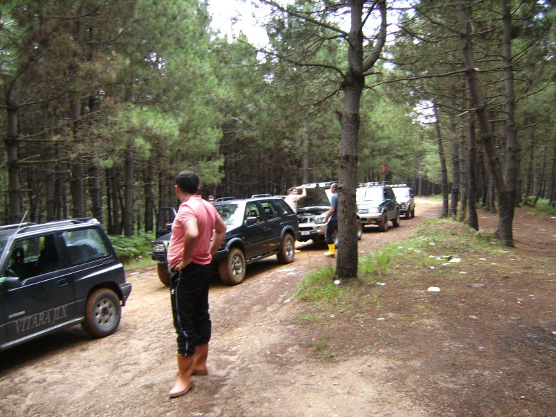 SANY0213.jpg