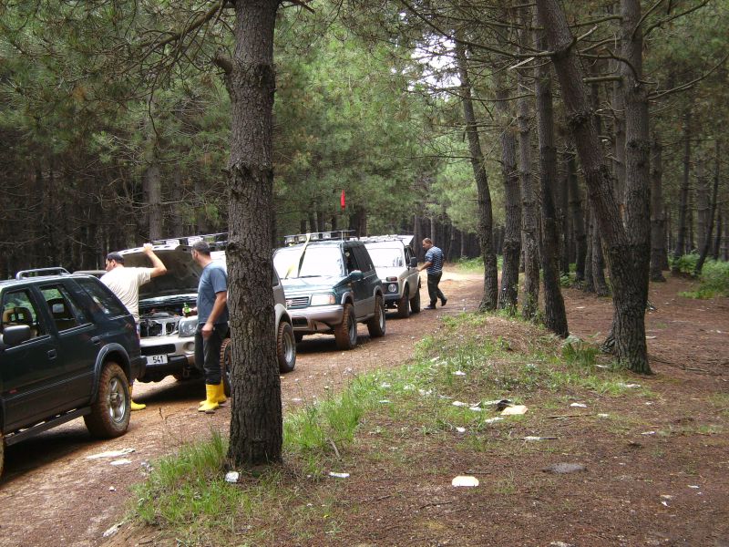 SANY0214.jpg