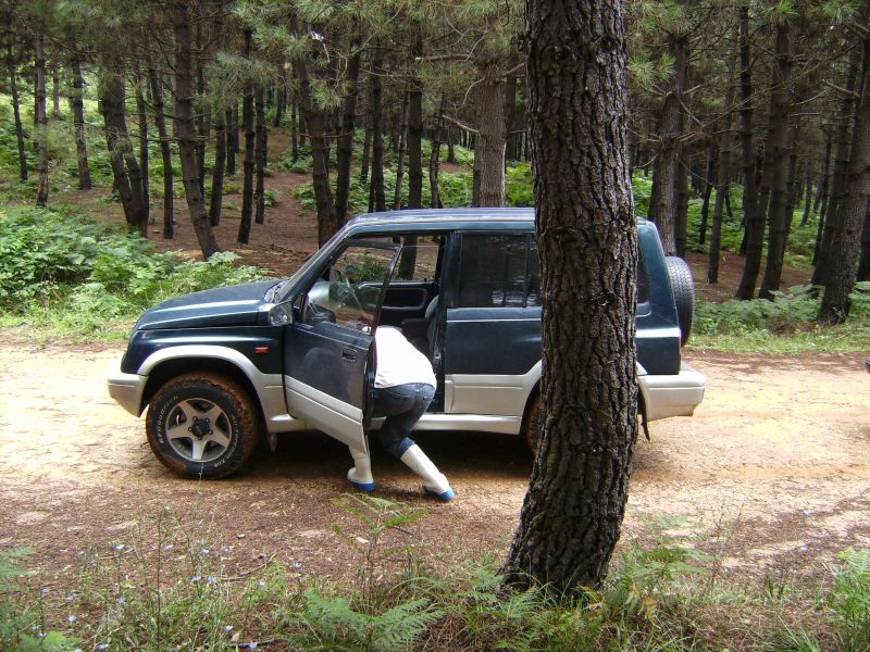 SANY0217.jpg