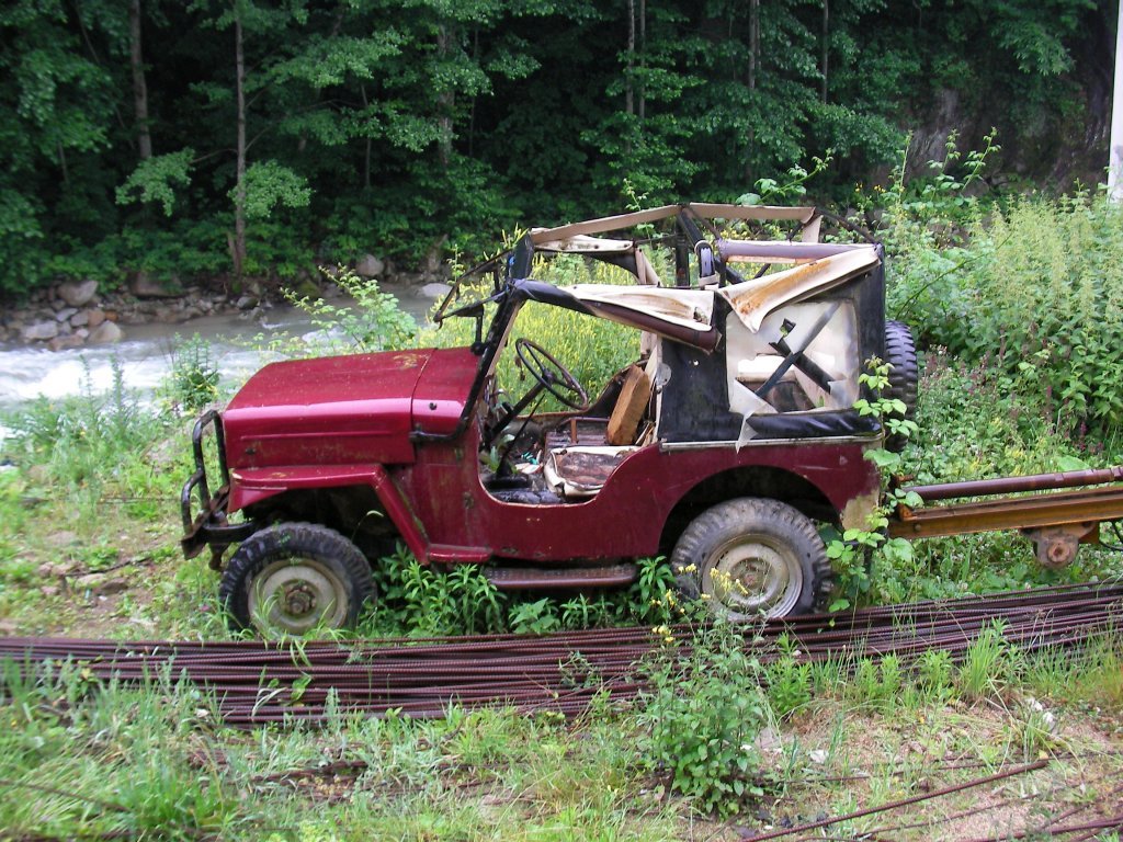 SANY0247.jpg