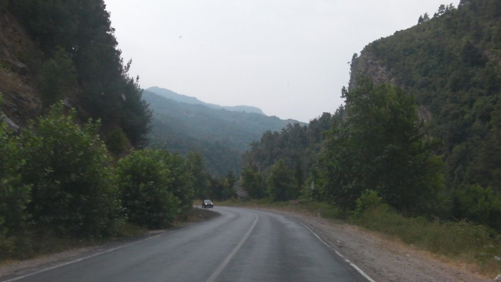 SANY0263.JPG