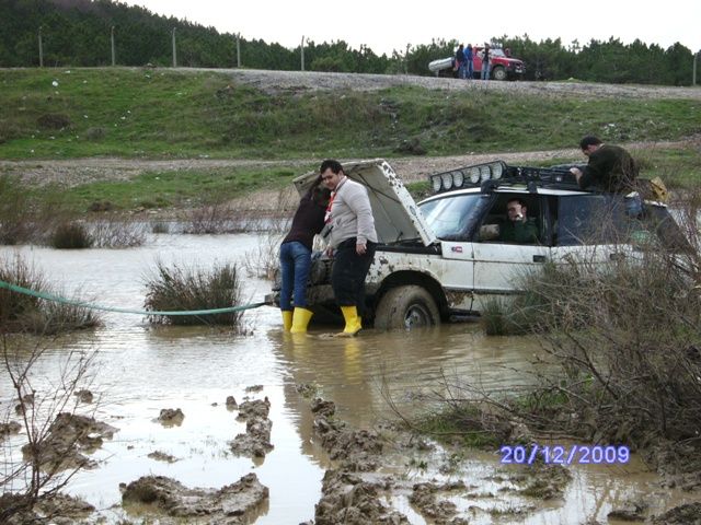 SANY0304.jpg