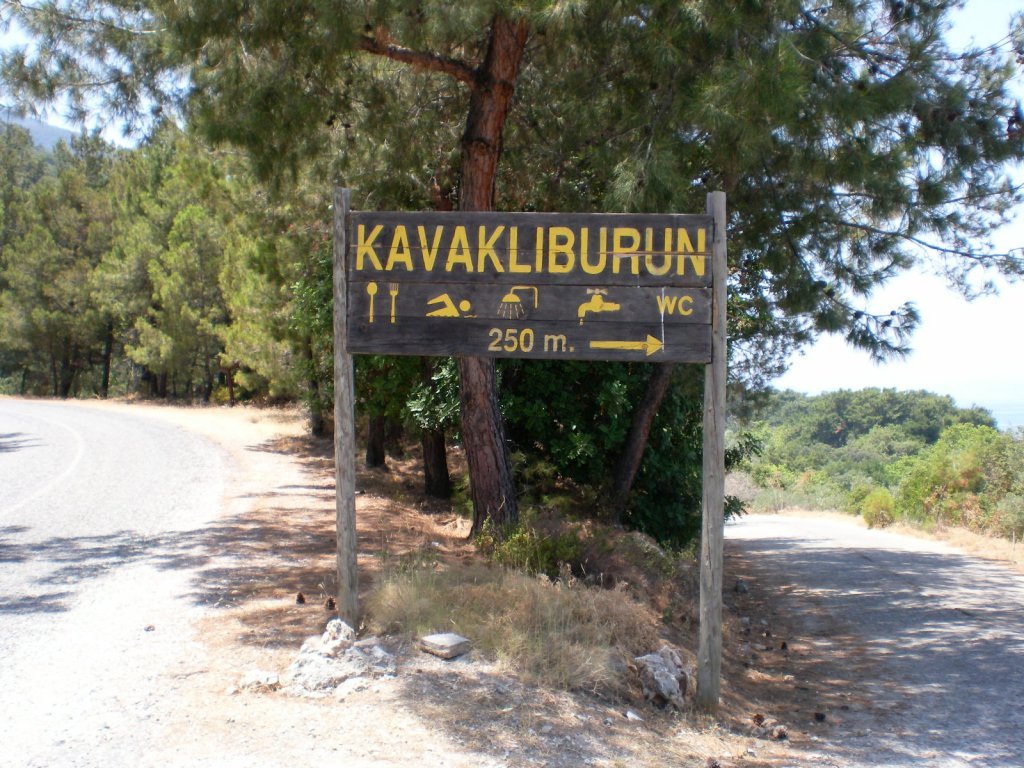 SANY0515.jpg