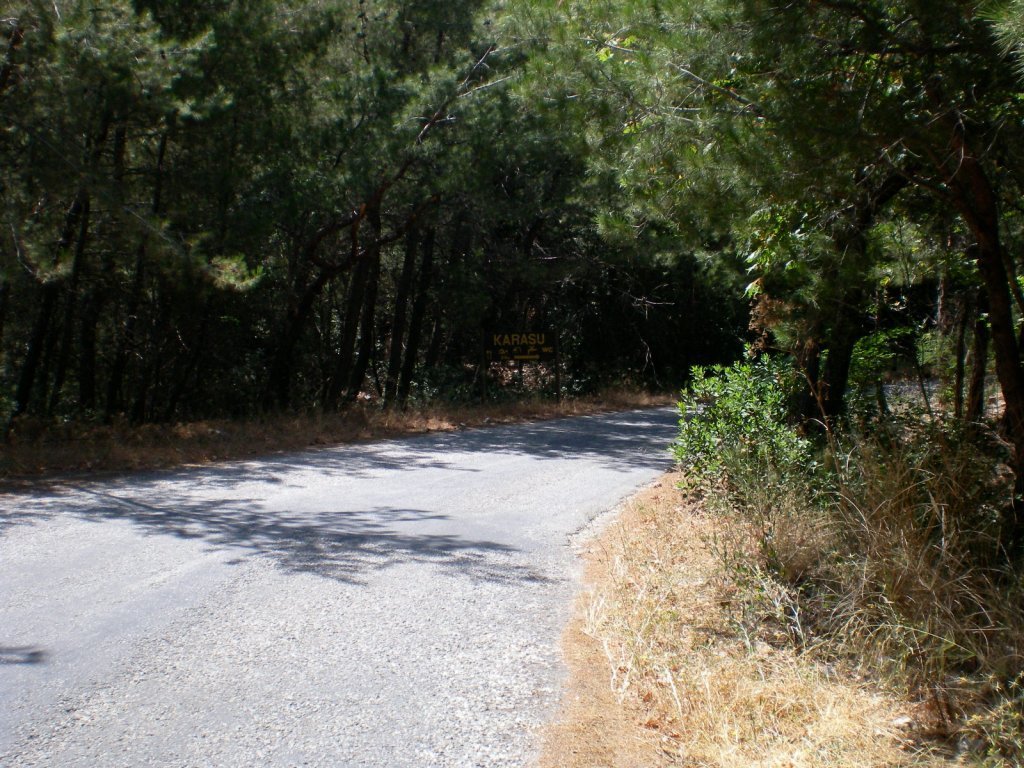 SANY0538.jpg