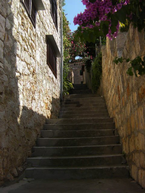 SANY0814.jpg