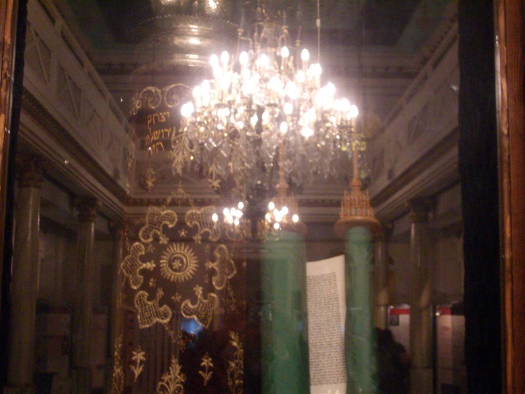 SANY2056 (Large).jpg