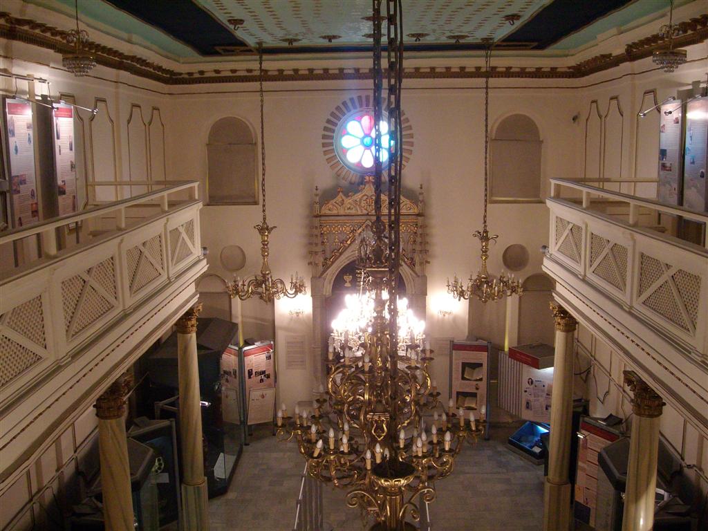 SANY2098 (Large).jpg