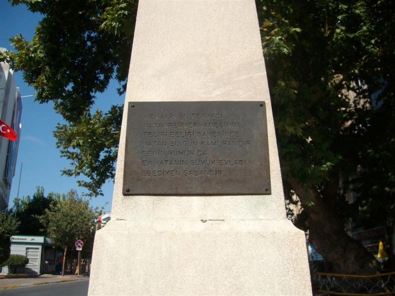 SANY2953 (Large).jpg