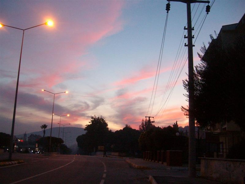 SANY6459 (Large).jpg
