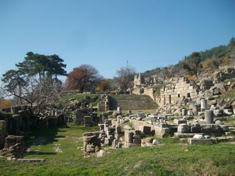 SANY7005 (Large).jpg