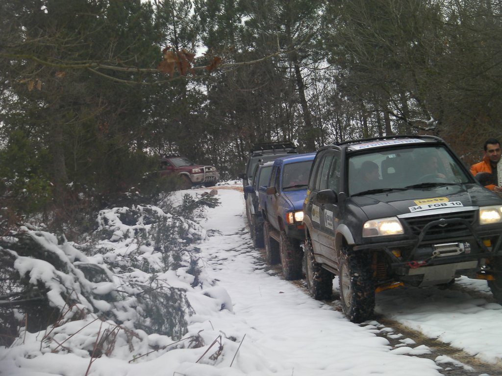 SANY9484.JPG