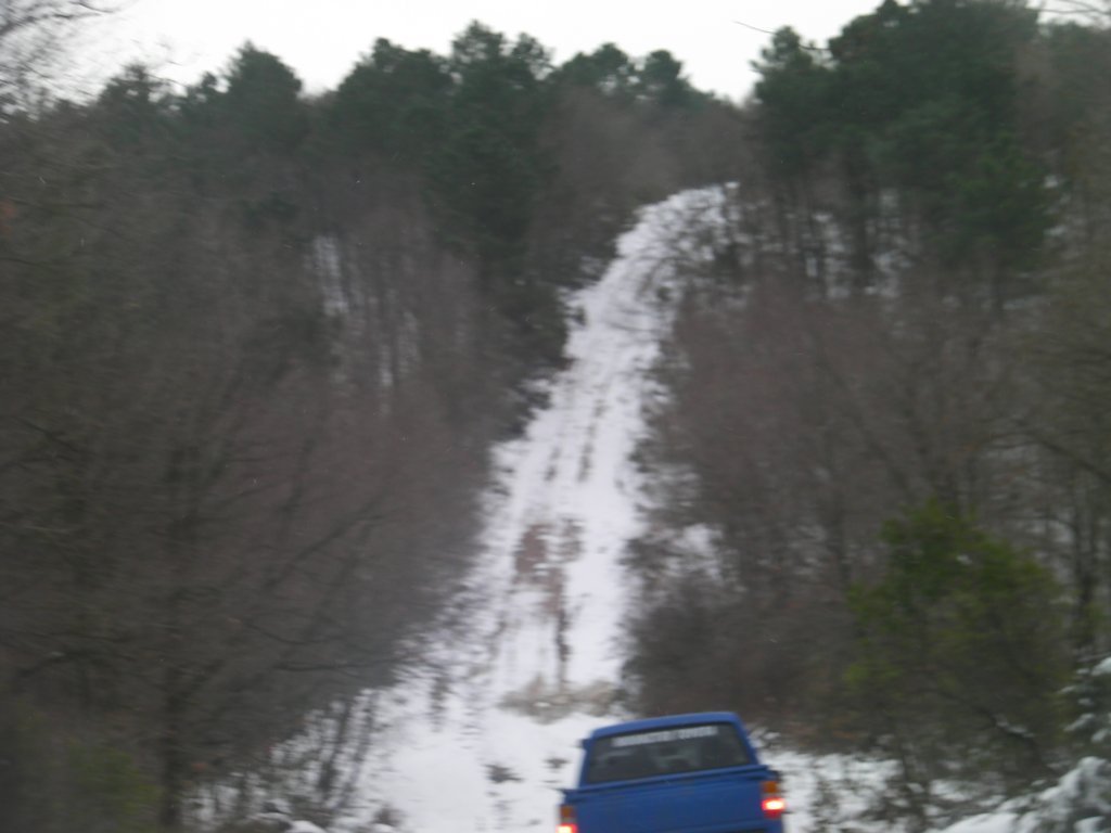 SANY9488.JPG