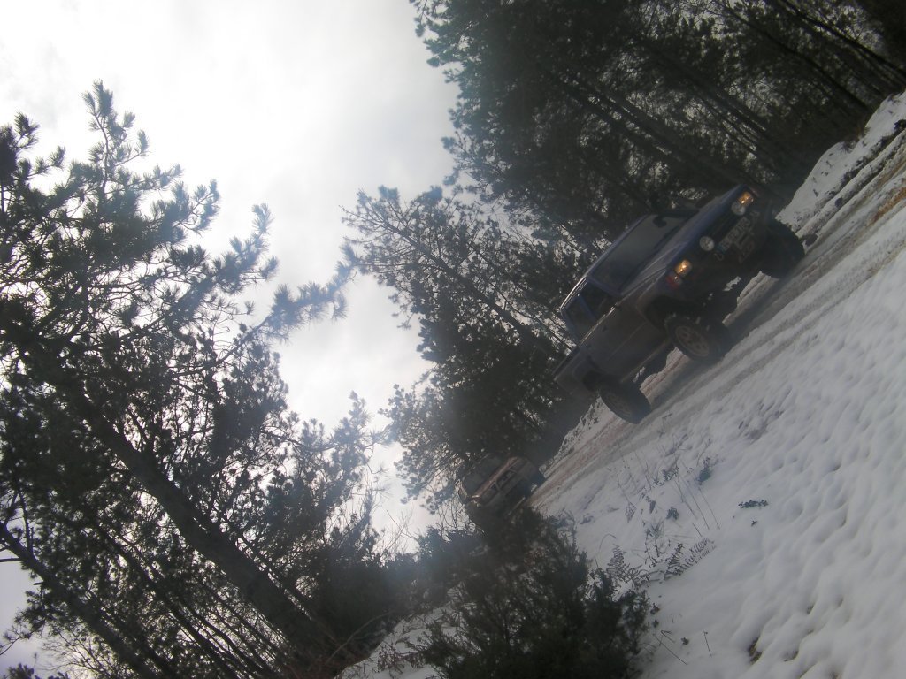 SANY9500.JPG
