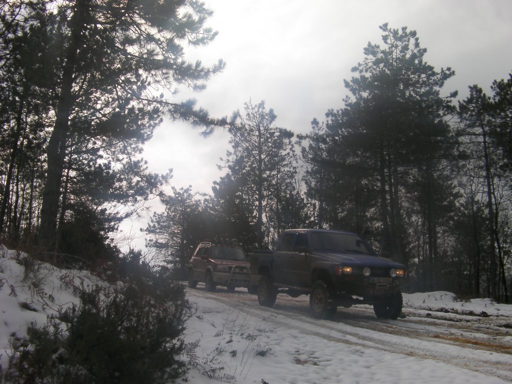 SANY9501.JPG