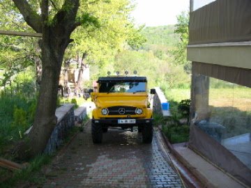 sar? kanarya2.jpg