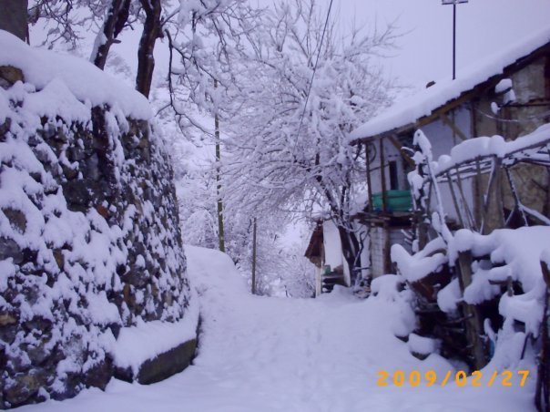sarÃƒÂƒÃ‚Â„ÃƒÂ‚Ã‚Â±cakaya taraflarÃƒÂƒÃ‚Â„ÃƒÂ‚Ã‚Â± (15).jpg
