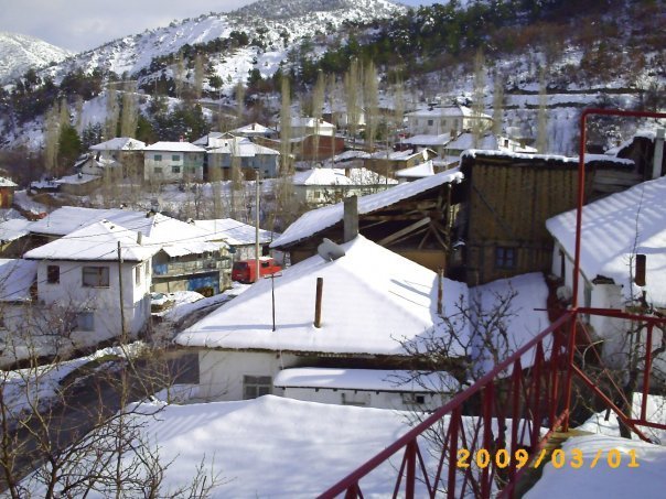 sarÃƒÂƒÃ‚Â„ÃƒÂ‚Ã‚Â±cakaya taraflarÃƒÂƒÃ‚Â„ÃƒÂ‚Ã‚Â± (16).jpg