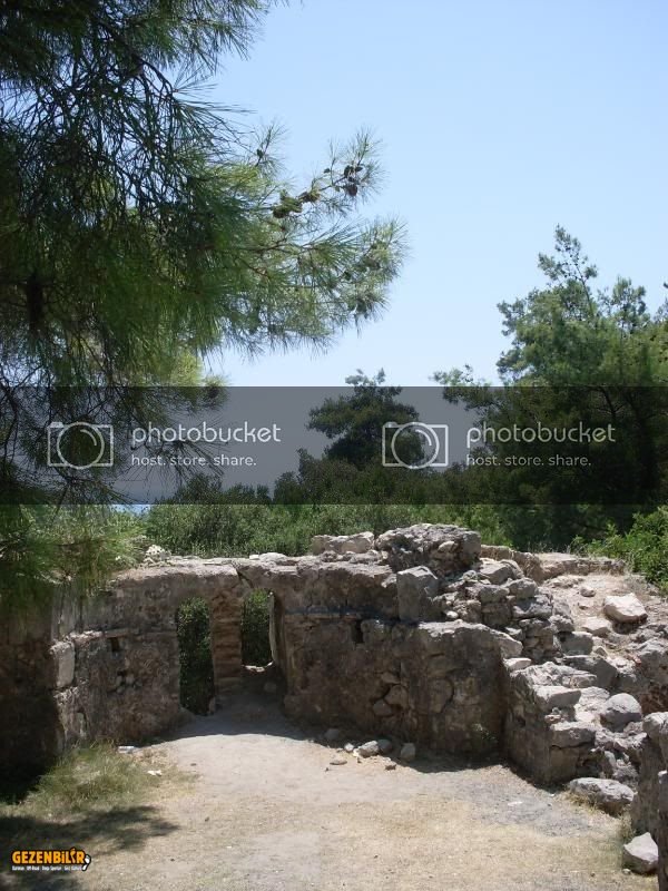 SDC10055.jpg