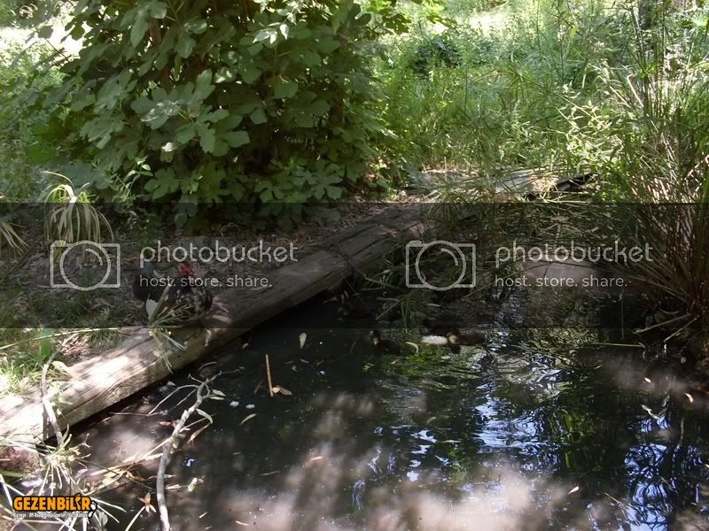 SDC10062800x600.jpg