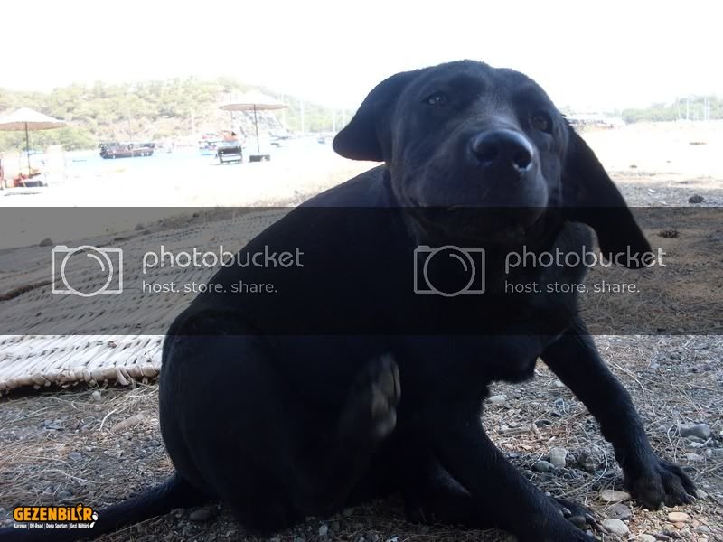 SDC10074800x600.jpg