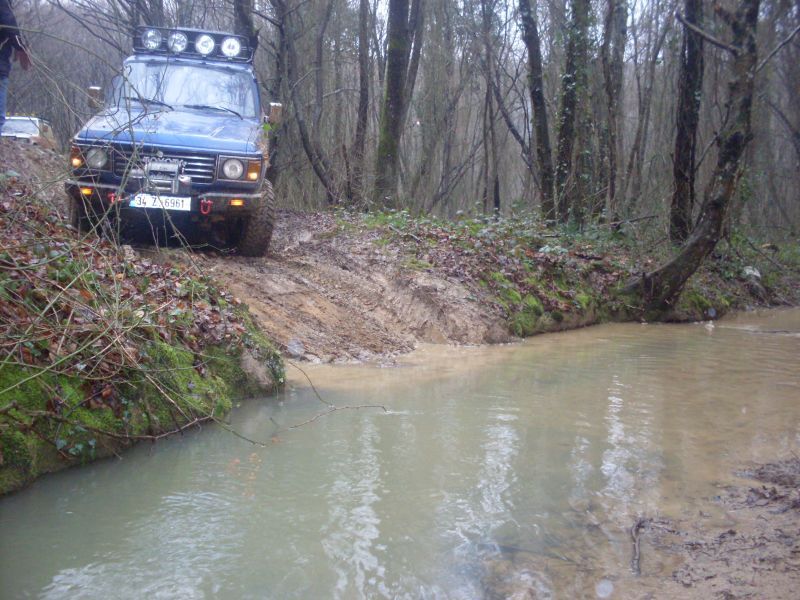 SDC10082.jpg