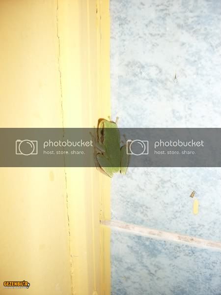 SDC10082800x600.jpg