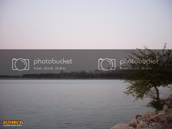 SDC10114800x600.jpg