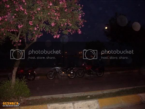 SDC10116800x600.jpg