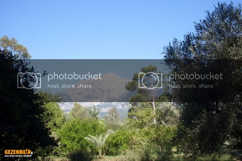 SDC10197800x600.jpg