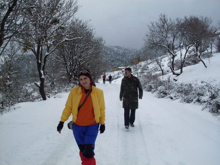SDC10500.jpg