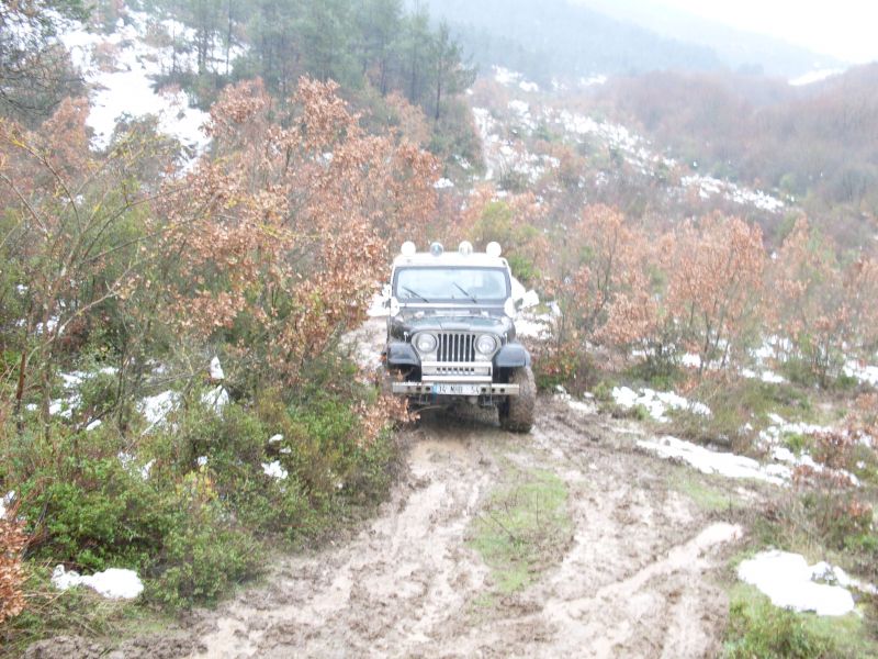 SDC10542.jpg